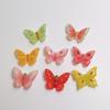 New Style Kawaii Fruit Butterfly Resin Charms for DIY Crafts Nail Art Flatback Rhinestone Scrapbooking Hair Clips Jewelry Making