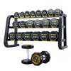 Iron Steed 640kg Decagonal PEV Dumbbell Set with 3-Tier Rack