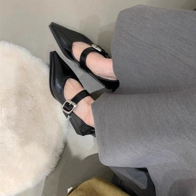 Весенние новые туфли Мэри Джейн с острым носком, с мелким вырезом, с ремешком с пряжкой, ретро, универсальные, на толстом каблуке, одинарные туфли, женская обувь