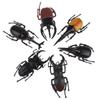 Simulation Animals Fake Beetle Simulation Beetle Special Lifelike Model Insect Model Beetle Toys