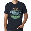 Men’s Vintage Tee Shirt Graphic T Shirt Mountain Explorer TRIGLAV Navy