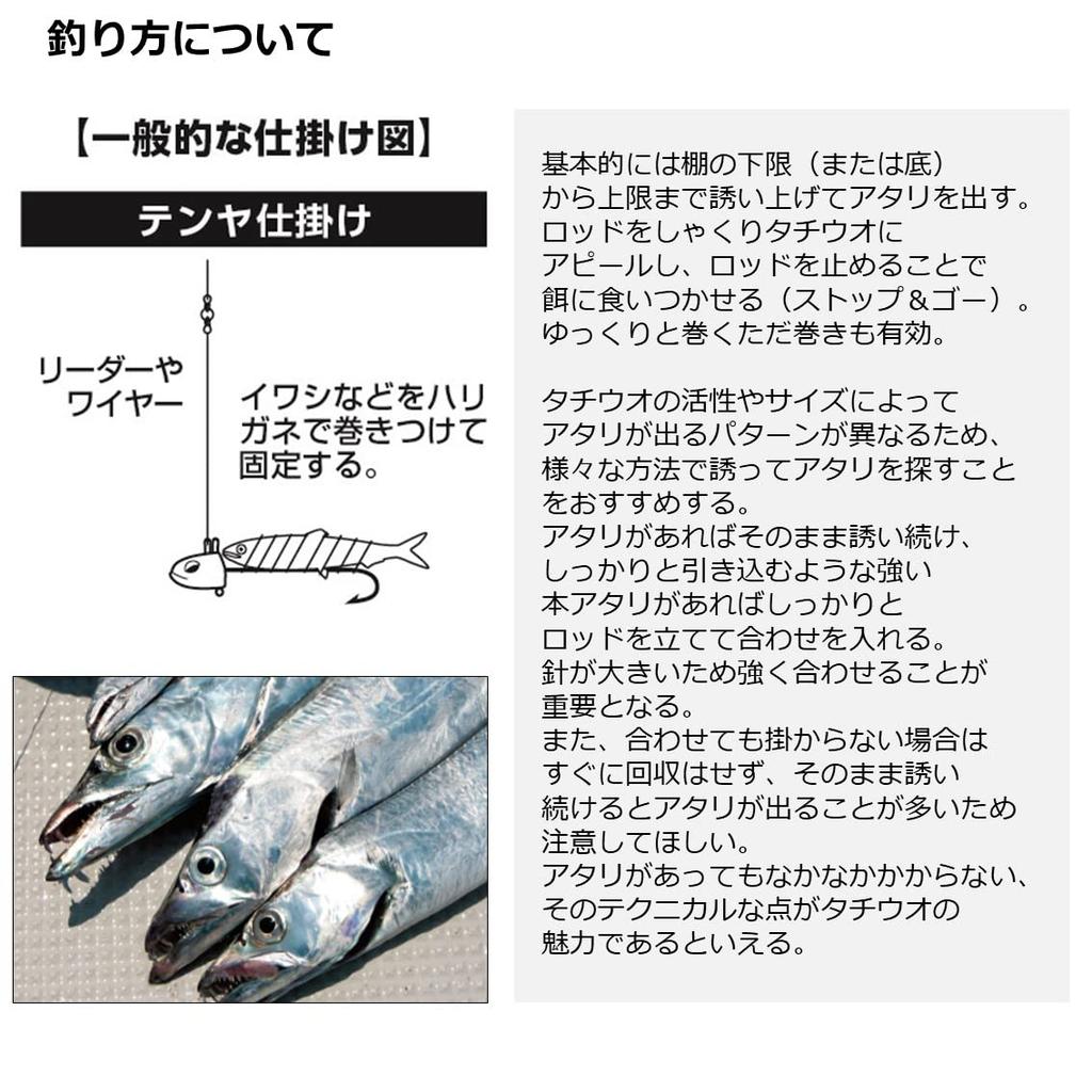 DAIWA Tenya Tachiuo X 91-180 R fishing rod black