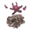 100 Pieces Guinea Feather for Millinery Decoration 5-10cm