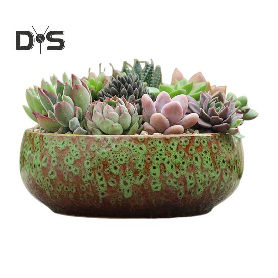 Керамическая чаша-лото для водных растений, герметичный гидропонный цветочный горшок, высокотемпературная керамическая чаша для суккулентов, аквариум