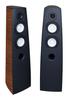 Acoustique Quality CANTO 5 - Audiophile Floorstanding Speaker, Two-way Design with 230W Power / SB ACOUSTICS, Acoustique Quality