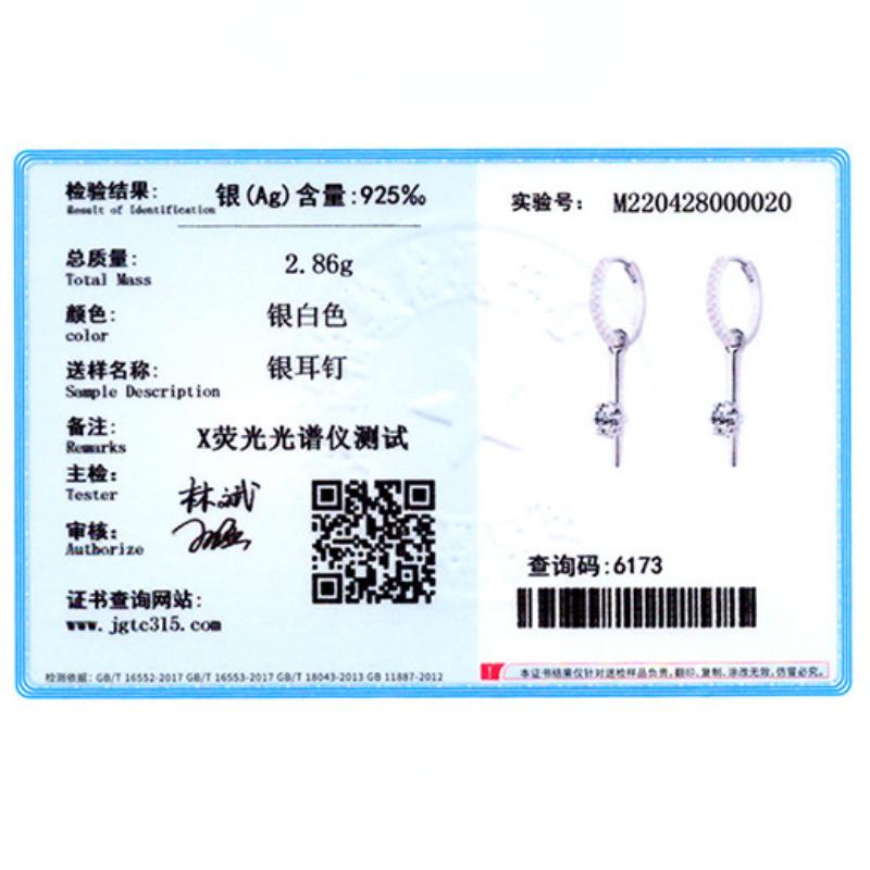 Tancise 925 Sterling Silver Zircon Earrings Drop Earrings For Women Wedding Party Gifts