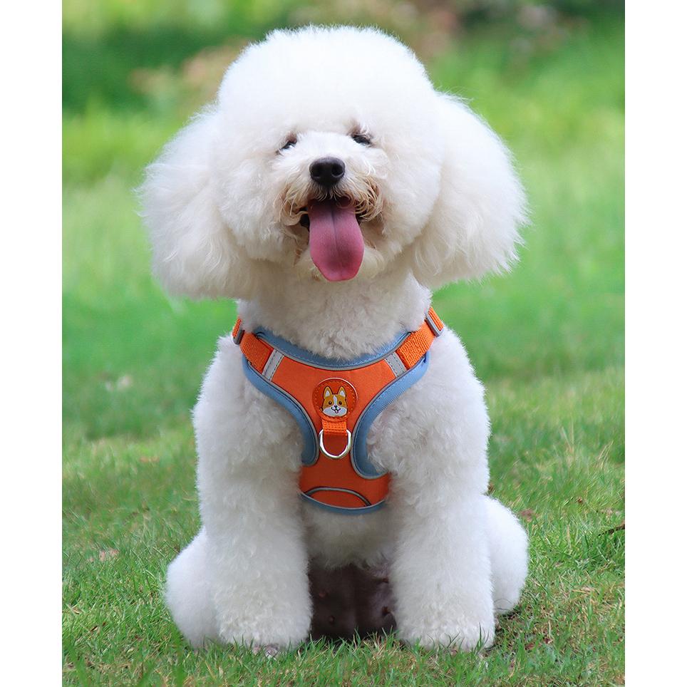 Регулируемая шлейка для собак без тяги, милый щенок, кошка, мягкий прогулочный поводок, комплект шлейки для домашних собак, жилет, чихуахуа, бигль для маленьких собак