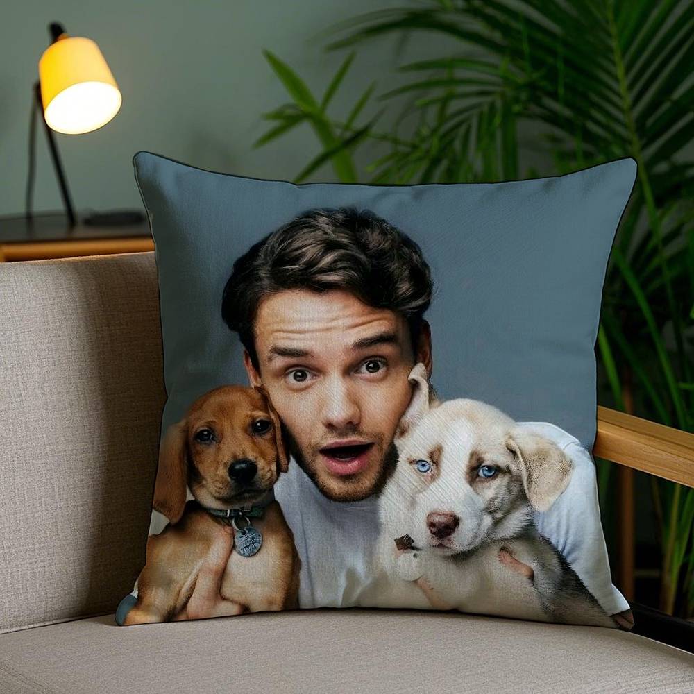 Наволочка Singer L_Liam Payne Диванная Короткий Плюш Двусторонняя HD Печать Комната Домашний Офис Подарок Чехол для Подушки