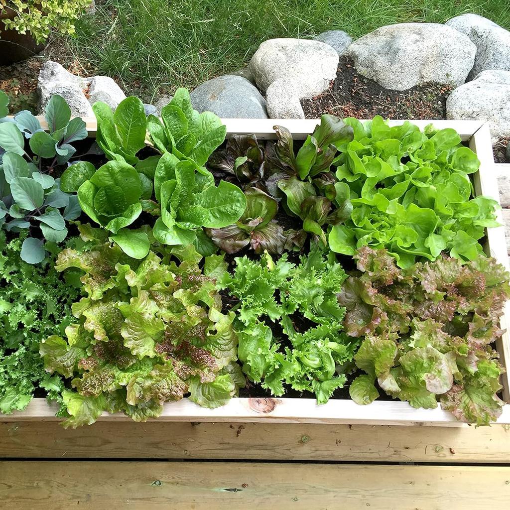 Seed-in Soil Digger and Soil Spacer for Planting Seeds Seed Spacer Tool for Maximum Harvest, Organized Plants Square Foot Garden