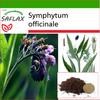 Окопник - 15 семян - С горшечным субстратом для лучшего выращивания - Symphytum officinale