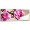 Canvas Print, Pink Orchid