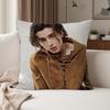 Actor Timothee Chalamet Pillow Case Suitable For Bedrooms Living Rooms Cars Home Decoration