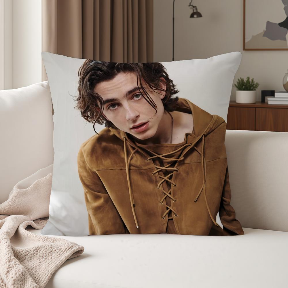 Actor Timothee Chalamet Pillow Case Suitable For Bedrooms Living Rooms Cars Home Decoration
