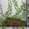 60/2 м искусственный зеленый лист плюща ротанг DIY искусственные цветы растения лианы листья виноградная лоза подвесная гирлянда свадебная вечеринка украшение дома