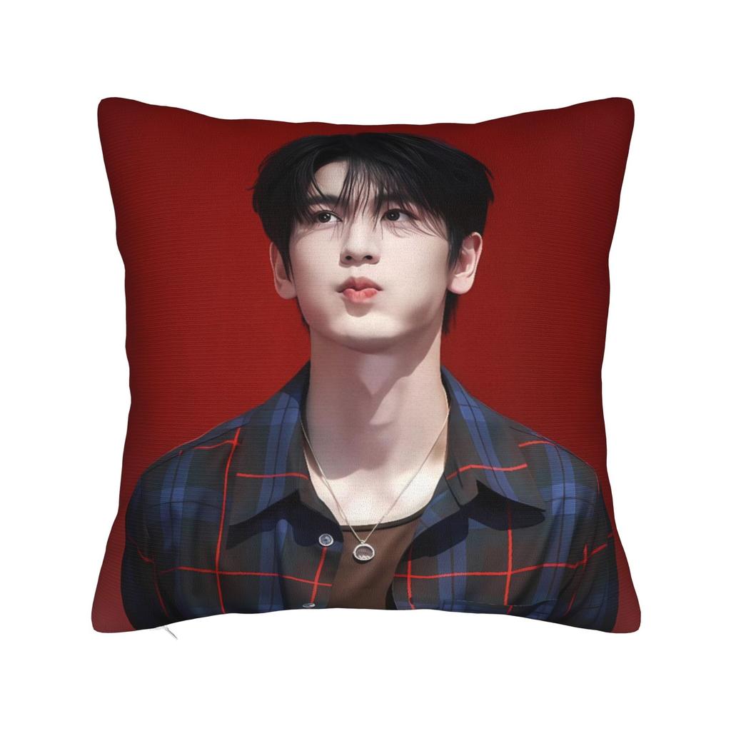 Zhang Linghe Pillowcases Kawaii Pillow Case For Living Room Sofa Custom Pillow Cover