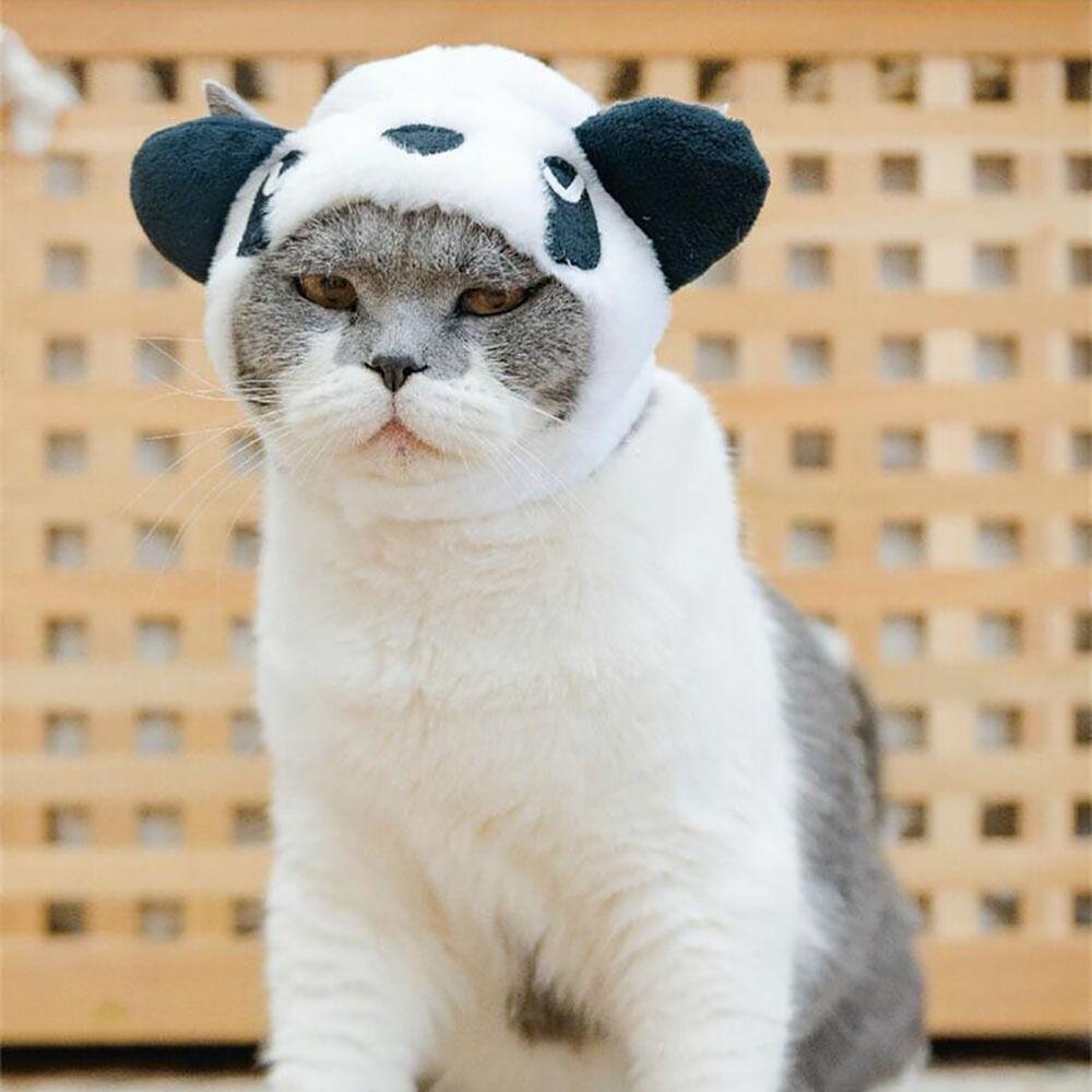 Косплей Костюм Кошка Шляпа Аксессуары для домашних животных Кепка для щенка Милый головной убор для домашнего животного