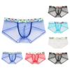 Men's Underwear Sexy Retro Mesh Light And Thin Men's Underwear Low Waist Transparent Sexy Pants