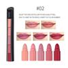 Lip Gloss, Lip Tint, Lip Balm, Lip Liner, Hard-to-remove Coloring, Tattoo, Lipstick Tint, Matte 5-in-1 Set, 02, 1 Piece