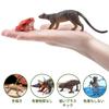TOYMANY Фигурка животного Мадагаскара Реалистичная дикая природа Животная модель джунглей Популярный день рождения Новый возраст 6 лет и старше Набор из 12 штук, Игрушки, Набор, Игрушка, Подарок,