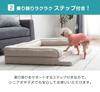 Tansu no Gen Pet Bed with Steps, Machine Washable, High-Resilience 25D, Water-Repellent, for Senior Dogs, Washable Dog Bed, 81900160(92021)