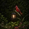 Rust-resistant Memorial Light Metal Red Bird Garden Stake Lamp, Vintage Lantern for Cemetery Yard Patio, Long-lasting Outdoor Rustic Ornament,