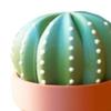 Cactus Coaster Set 3D Printed Cactus Coaster with Flowerpot Holder Funny Desktop Coaster for Plant Lovers Gift Home Office Bar Decoration