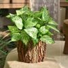 Resin Imitation Wood Plant Pot Vintage Round Table Decorative Style Flowerpot Fake Tree Bark Succulent Plants Creative Container