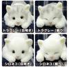Real Series Made In Japan Realistic Cat Stuffed Toy 58cm Cat L (Black Eyes)