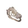 Dinosaur Skull Reptile Box: Creative Resin Display Ornament for Living Room or Bar