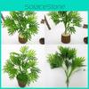 Artificial Capillus Adiantum Veneris Plant Ecofriendly Coating Home Decoration