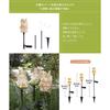 Solar Garden Relaxing with Mushrooms Light, Outdoor, Waterproof, Recessed, Stick-Type, Stylish, Cute, Fairy,