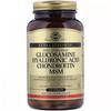 Glucosamine Hyaluronic Acid Chondroitin MSM