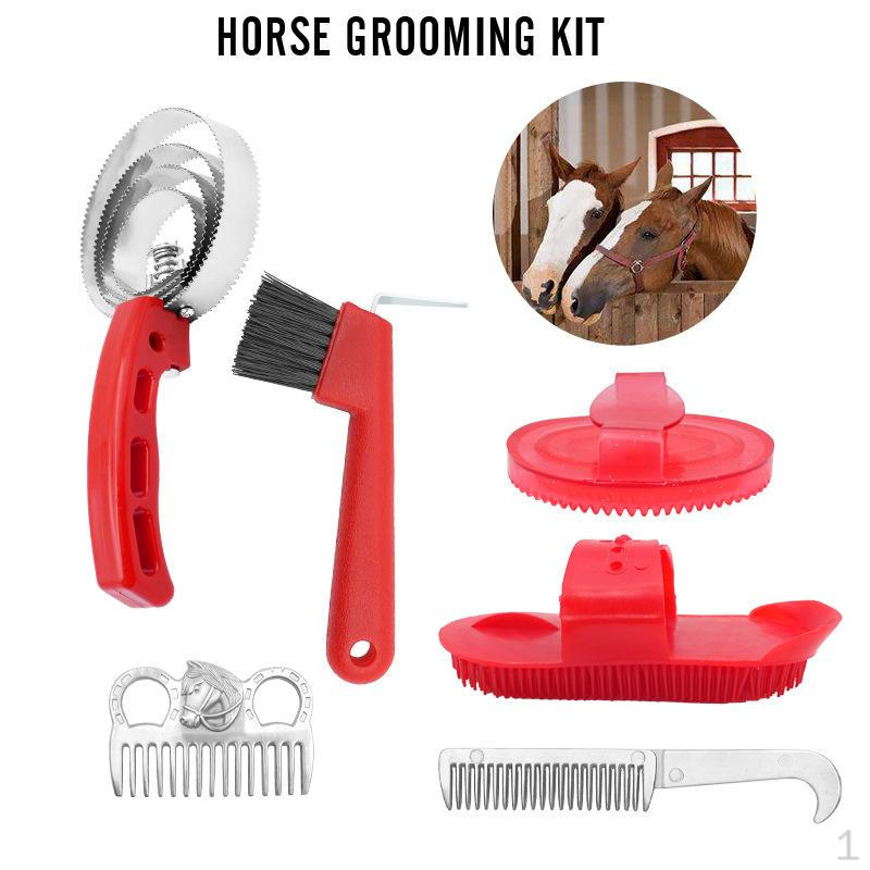 Набор для ухода за лошадьми из 6 предметов: профессиональные щетки, инструменты для чистки, подарочный набор для ухода за лошадьми.