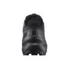 SALOMON Кроссовки Speedcross 6 Gore Tex 'Black' / L00 417386