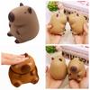TPR Capybara Squeeze Toy Коричневые декомпрессионные игрушки Подарочные сжимаемые игрушки для взрослых