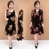Fashion Printed Sets Two Piece Set Casual O Neck Long Sleeve Summer Commute Dress Sets