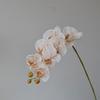 Single Branch Simulation Butterfly Orchid Moth Orchid Plastic Flower Bouquet  Home Decor