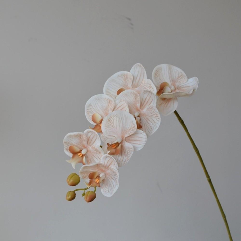 Single Branch Simulation Butterfly Orchid Moth Orchid Plastic Flower Bouquet  Home Decor