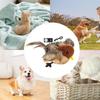Usb Rechargeable Cat Toy Flapping Bird Cat Toy Interactive Plush Toy Remote Control USB Flapping Wings Cat Toy Chirping Cat Toy