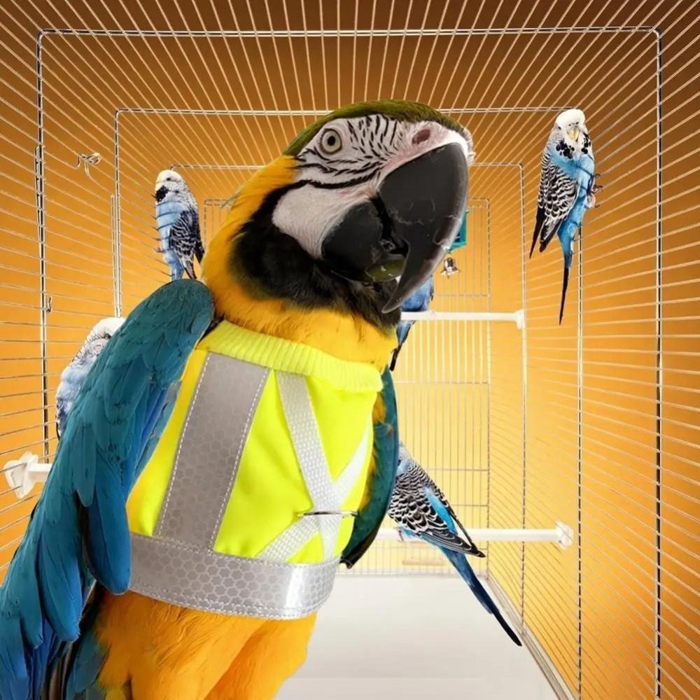 Safety Parrot Flying Harness Adjustable Bird Harness Vest Flight Training Rope  Flying Training