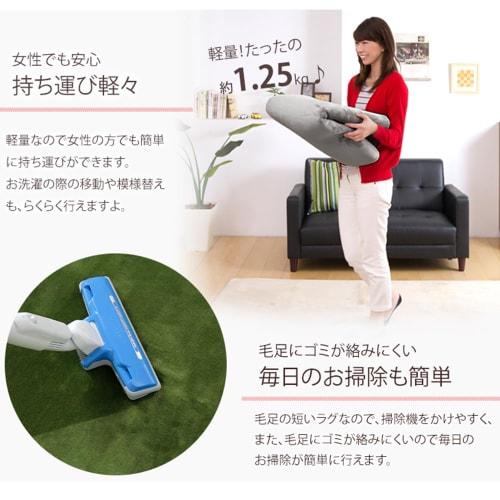 Tansu No Gen Rug, 3-tatami Size (200 X 250 Cm), In a Muted Color That Blends In with Any Room. Washable, Compatible with Heated Carpets. Stylish Nordi