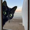 Мультяшный Черный Кот Статичная Наклейка на Окно Съемная Самоклеящаяся для Балкона Спальни Стекла Домашний Декор Искусство