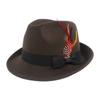 Wild Brim Jazz Hats Имитация шерсти Костюм Кепка для косплея Практичные украшения из перьев Шляпа для улицы