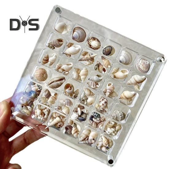 Acrylic Magnetic Seashell Display Box 36/64/100 Grids Square Small Crafts Natural Stone Nail Art Bead Charm Jewelry Show Organizer Container Case