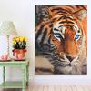 Алмазная картина Тигр животных Алмазная вышивка Крестиком Сверление Алмазная мозаика Вышивка крестом
