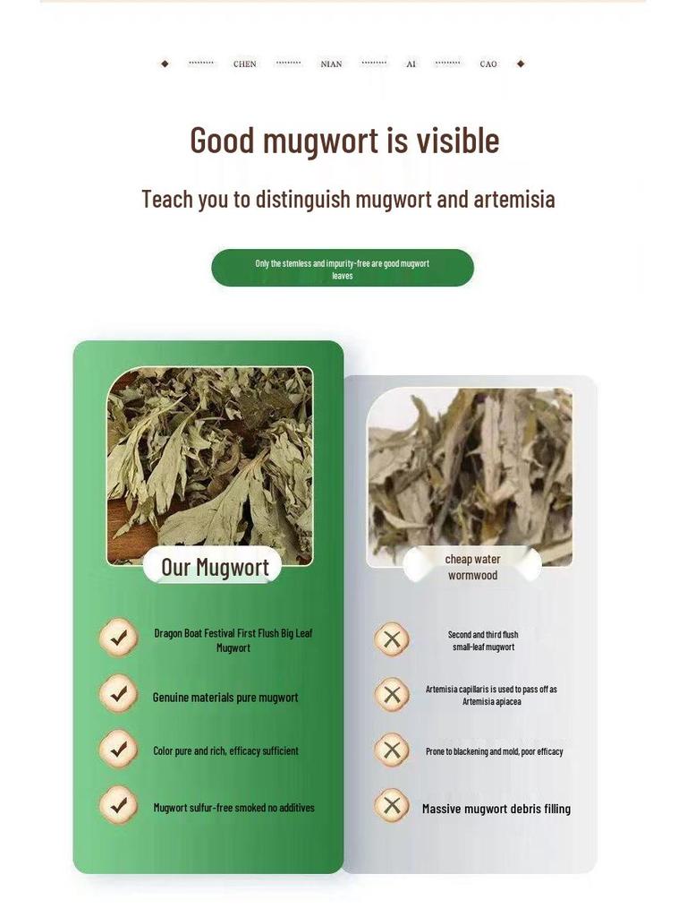 Mugwort Foot Soak Bags - Wild Pure Mugwort Blend (500g) for Relaxing Foot Bath