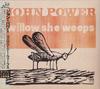 CD JOHN POWER - Willow Sea Weeps VICP63676 Victor 2007 Japan ObiRock Used