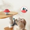 Cat Wand Suction Cup Exercise Kitten Toys Cat Wand Toys Retractable Cat Teaser Cat Toys Cat Exercise Toys For Indoor Kittens