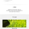 The Saem - Healing Tea Garden Cleansing Foam - 4 Types