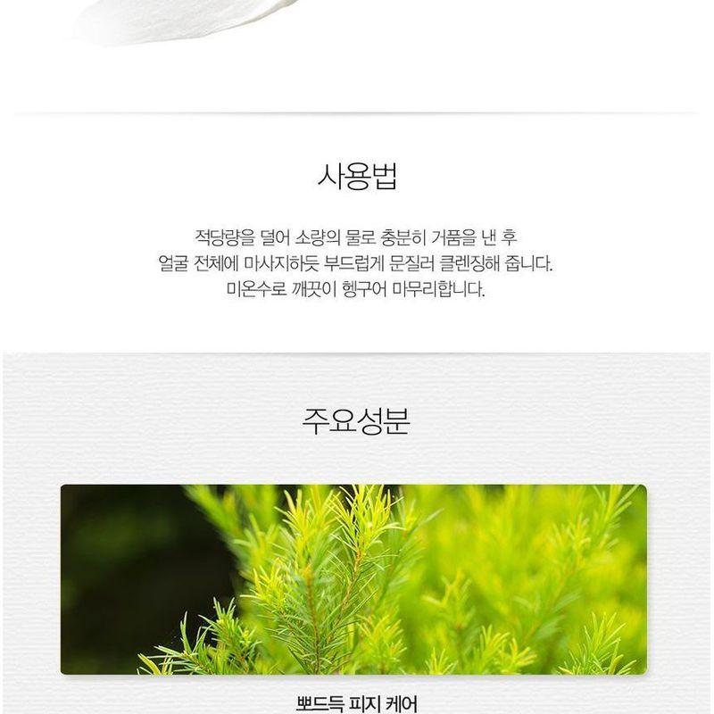 The Saem - Healing Tea Garden Cleansing Foam - 4 Types